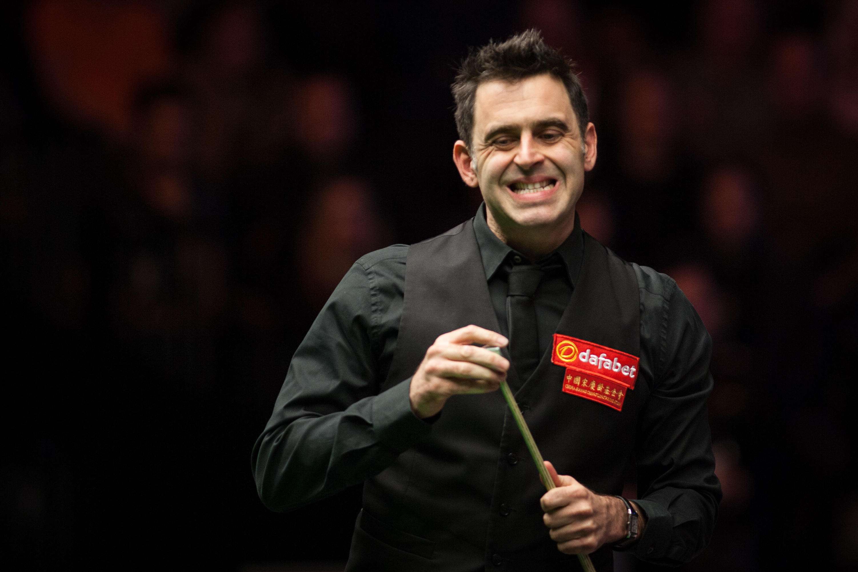 而鹈鹕则拥 而鹈鹕则拥